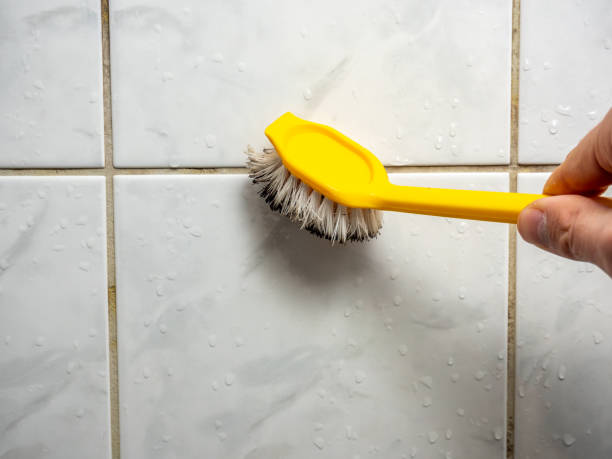 Best Professional Mold Removal  in Lake Sherwood, CA