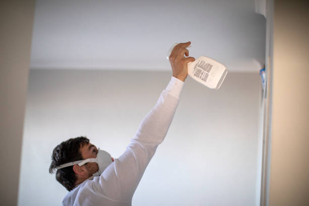 Best Emergency Mold Removal  in Lake Sherwood, CA