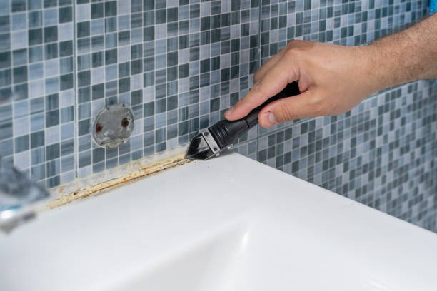 Best Certified Mold Removal  in Lake Sherwood, CA