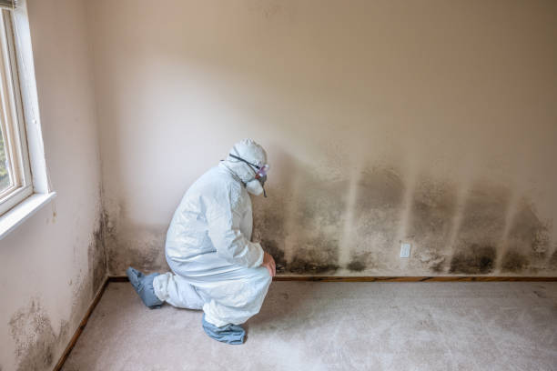 Best Crawl Space Mold Removal  in Lake Sherwood, CA